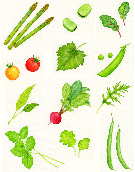 野菜イラスト のアイデア 15 件 イラスト 野菜 フード イラスト 野菜イラスト のアイデア 15 件 イラスト 野菜 フード イラスト