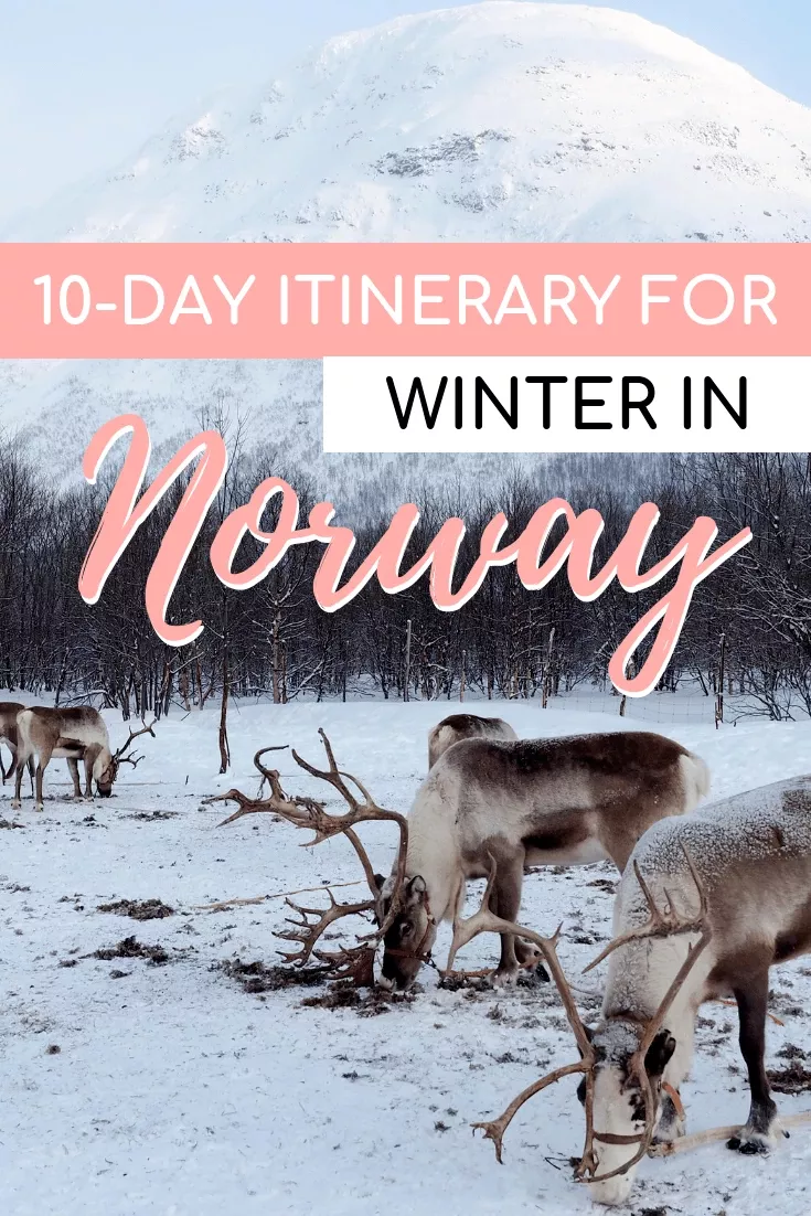 10-Day Itinerary for Norway in Winter Europe Travel Guide, France Travel, Travel Guides, Travel Destinations, Netherlands Travel, Norway Travel, Norway Vacation, Norway In A Nutshell, Norway Winter