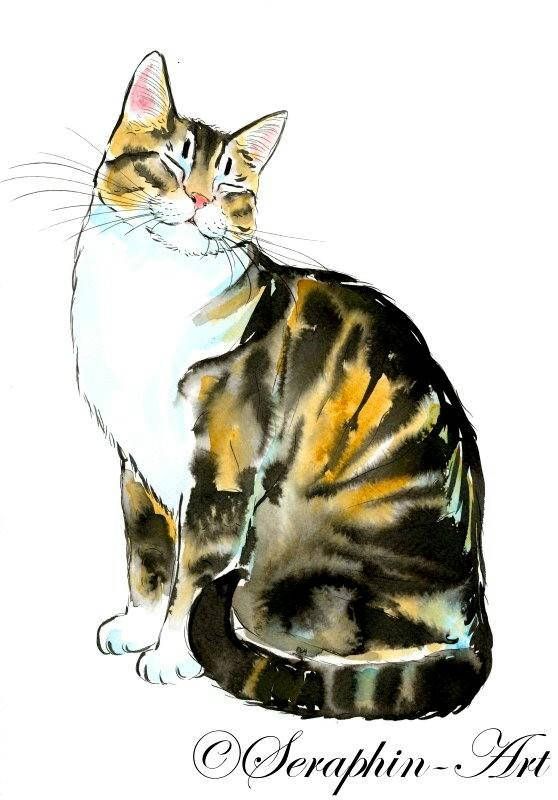 cyperse kat origineel aquarel schilderij | maneki | cats, watercolor