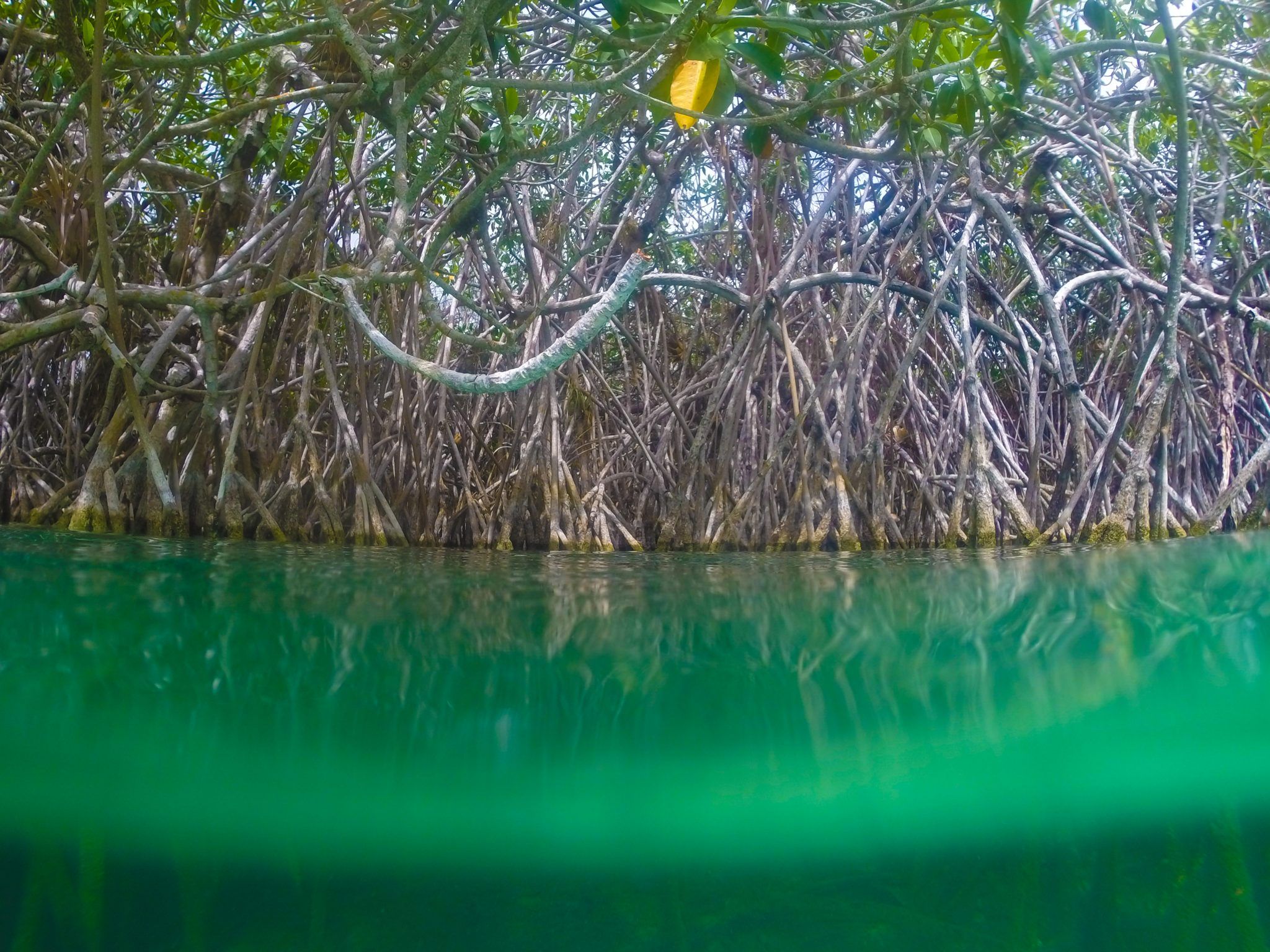 Sian Ka An Tours Ecotravel Mexico