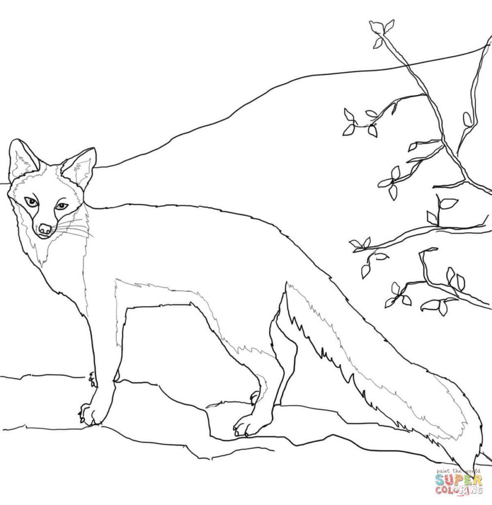 33++ Fox coloring pages easy info