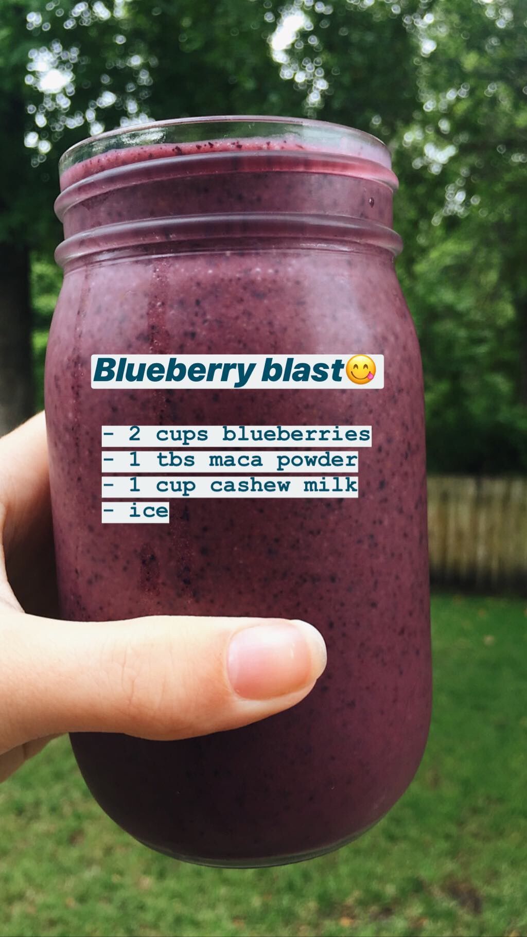 Smoothies zur Gewichtsreduktion Omnilife-Produkte