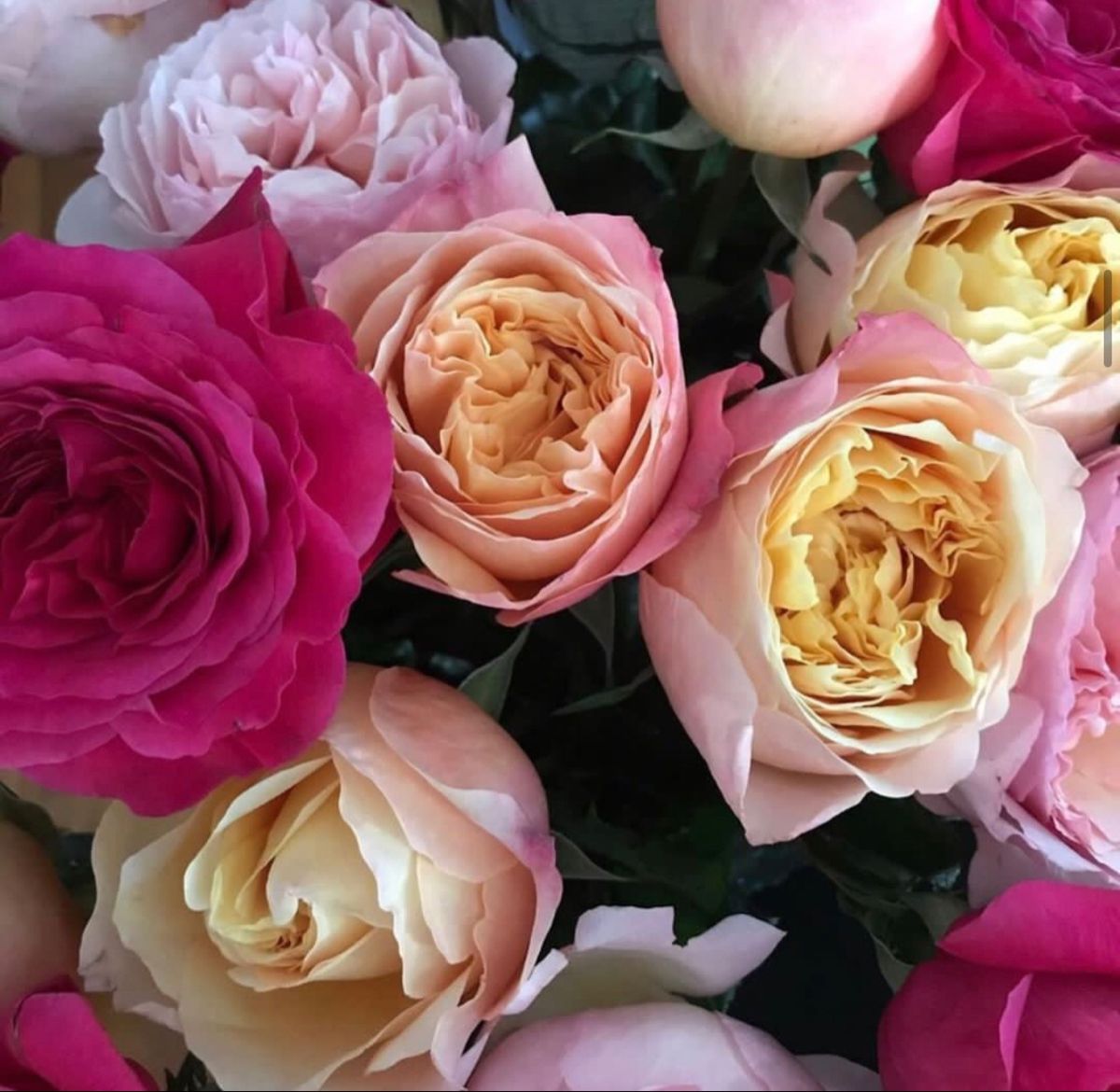 Rose Flower Bouquet Near Me Beautifull Rose Rose Flower Bouquet Near Me Beautifull Rose
