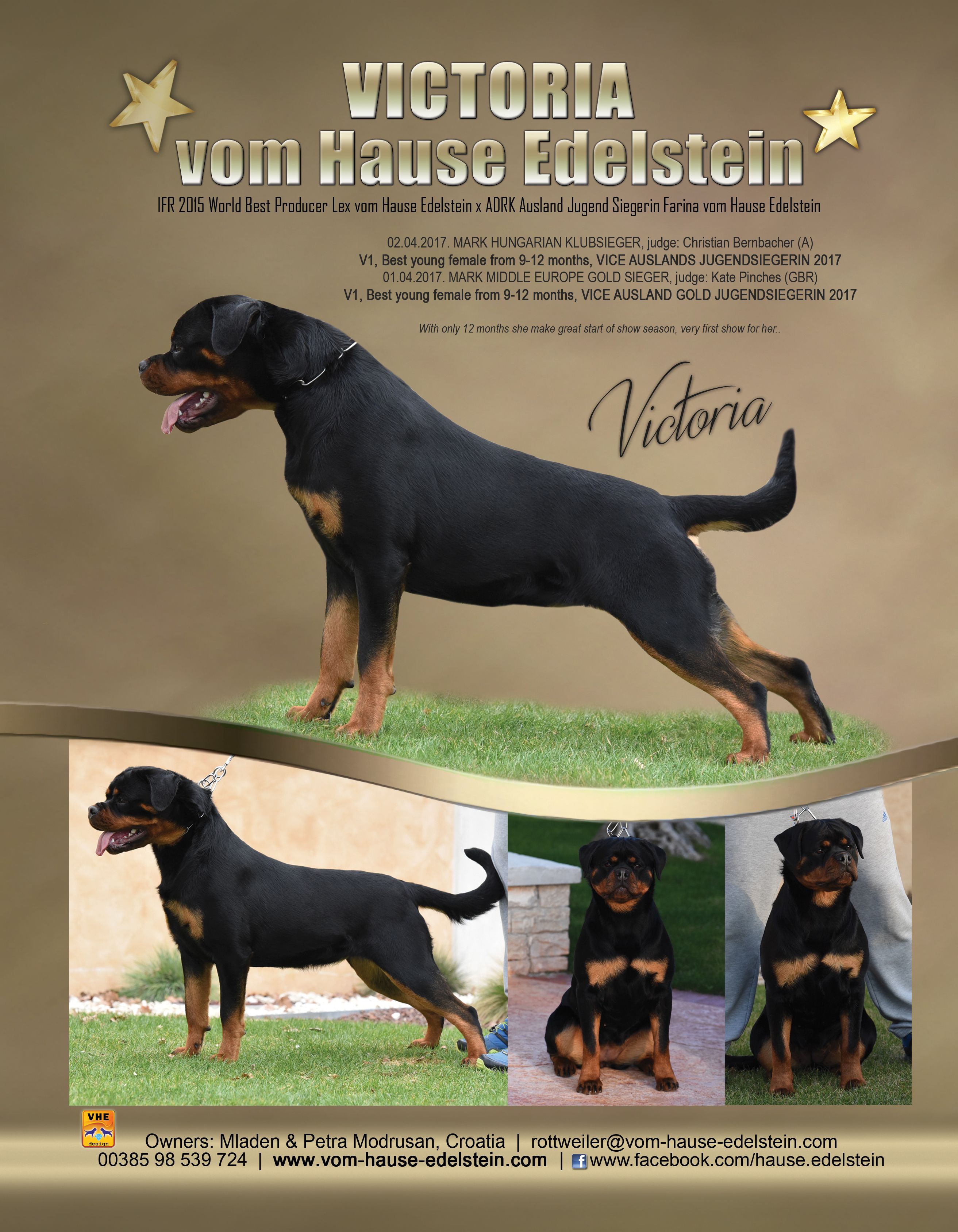Pin By Kathy Crigler On Rotts Rottweiler Article Writing Vets