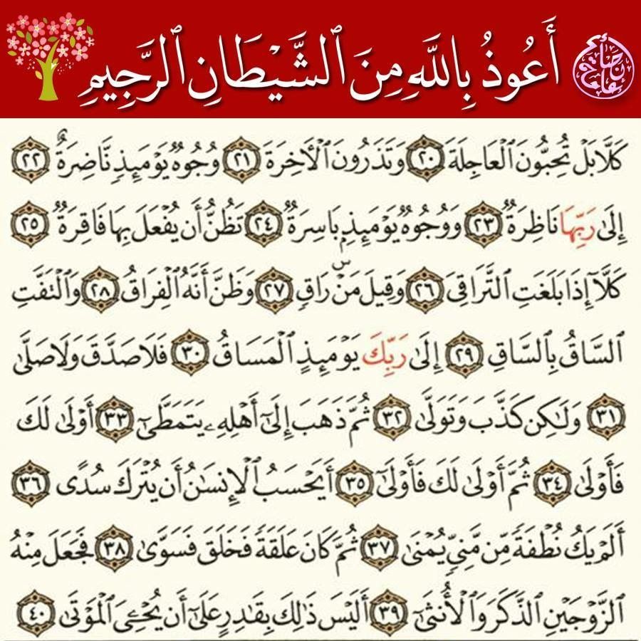 ٢٠ ٤٠ القيامة Calligraphy Arabic Calligraphy