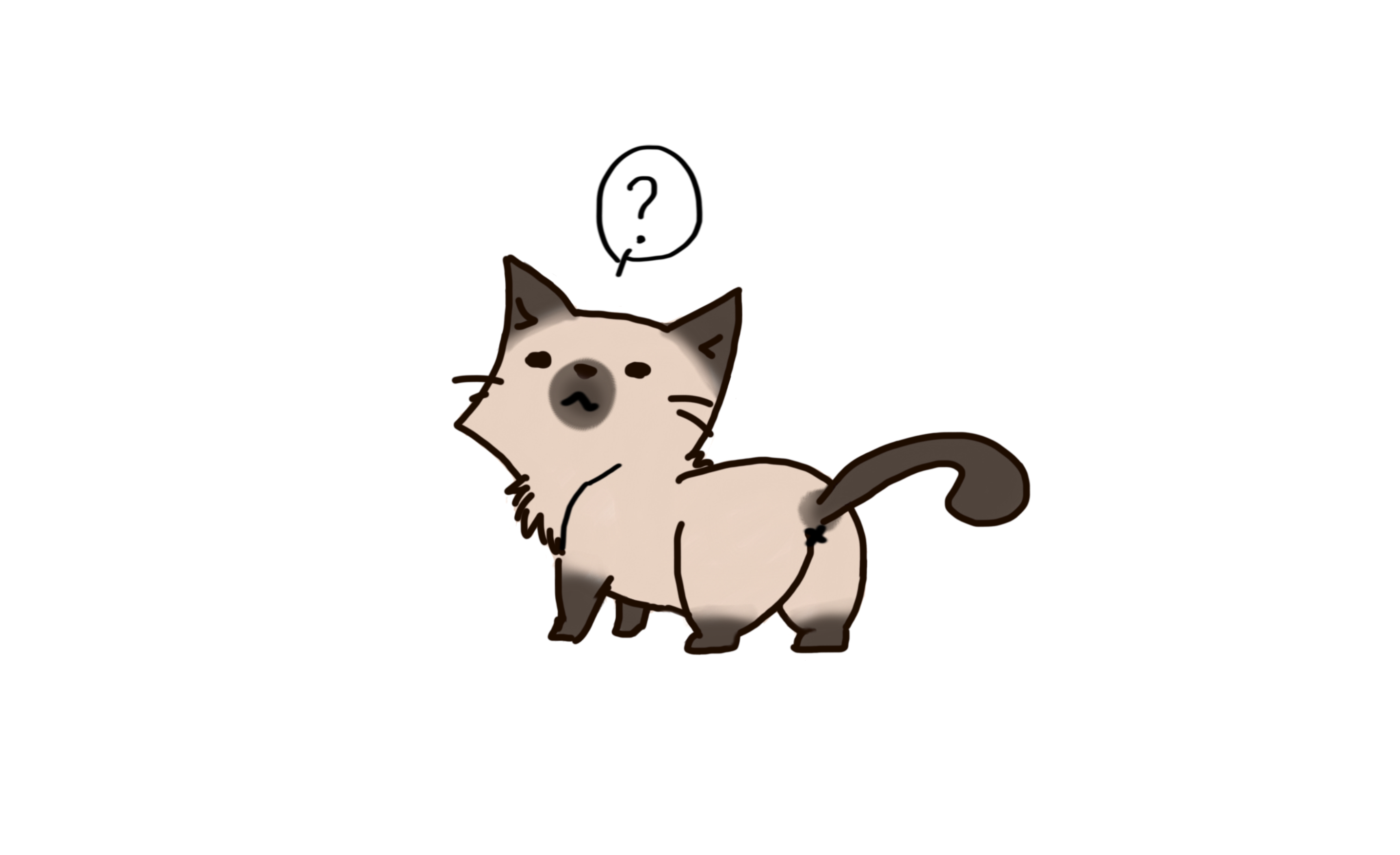 Siamese Cat By 1995badattitude deviantart On DeviantArt Siamese Siamese Cat By 1995badattitude deviantart On DeviantArt Siamese