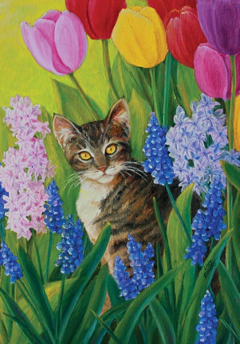 Tomcat Tulips Tulips Garden Spring Garden Garden Flags