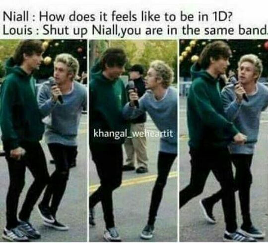 One Direction Memes