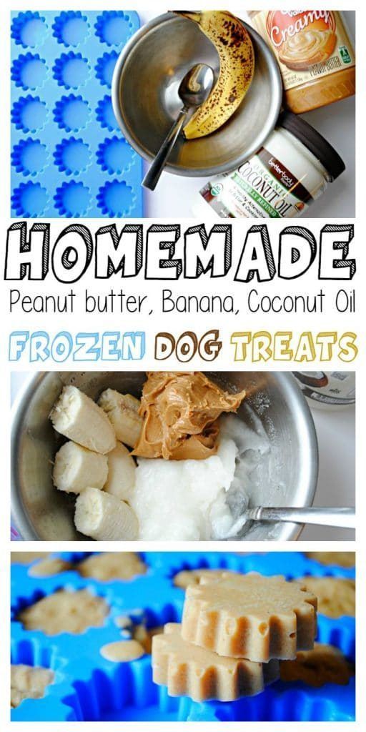Sep 1, 2019 - These homemade peanut butter coconut oil dog treats are incredibly easy to make, quick to freeze, and perfect for hot summer days! You only need a few ingredients that you might already have on hand, Easy Dog Treat Recipes, Healthy Dog Treats Homemade, Easy Dog Treats, Pumpkin Dog Treats, Homemade Dog Food, Pet Treats, Homemade Dog Treats Grain Free, Homemade Oil, Homemade Peanut Butter Dog Treats Recipe