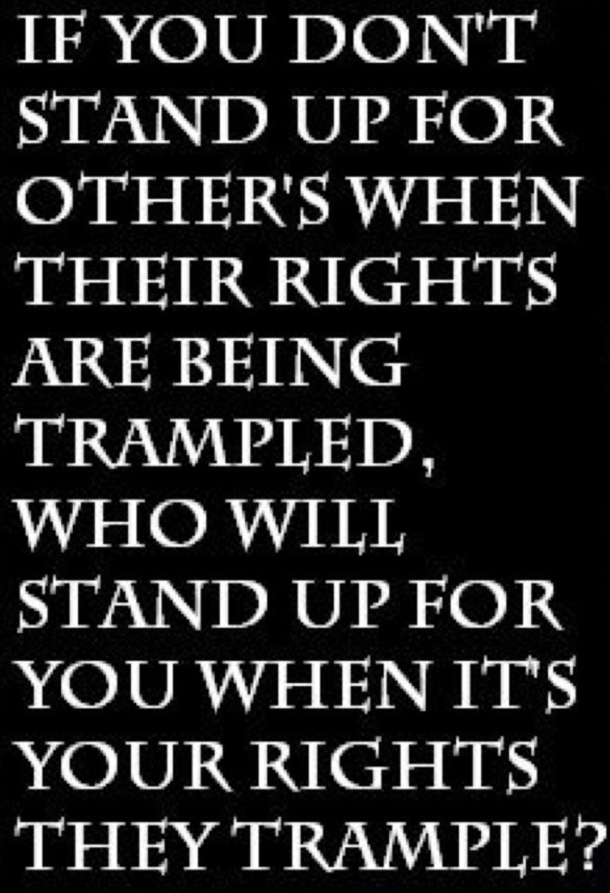 1st Amendment Rights 2nd Amendment Family Court You Gave Up Food For 1st Amendment Rights 2nd Amendment Family Court You Gave Up Food For