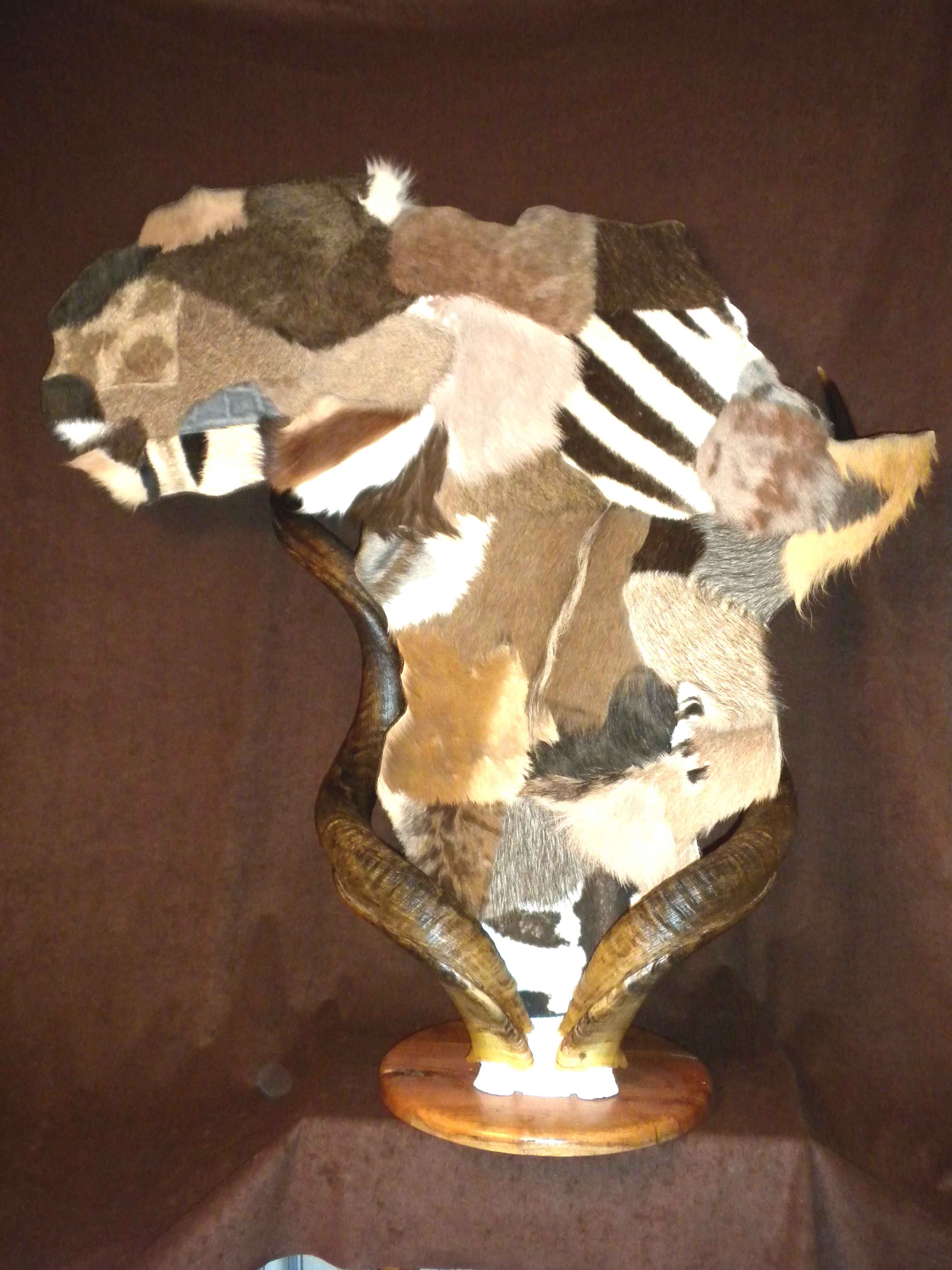 Map Of Africa Made From Animal Hides By Taxidermy Unlimited Map Of Africa Made From Animal Hides By Taxidermy Unlimited