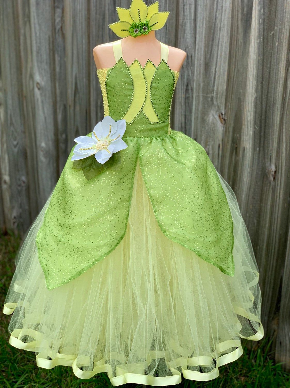 Princess Tiana costume, princess Tiana dress, Cinderella tutu, Tiana tutu, Cinderella dress