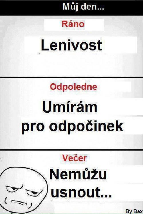 Funny Facts, Funny Quotes, Sarcastic Laugh, Story Quotes, Funny Times, Good Jokes, Cringe, Dankest Memes, True Stories