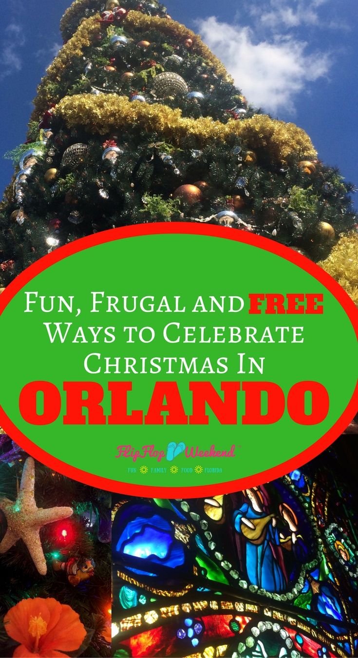 cheap family friendly activities during christmas in orlando christmas activities in florida