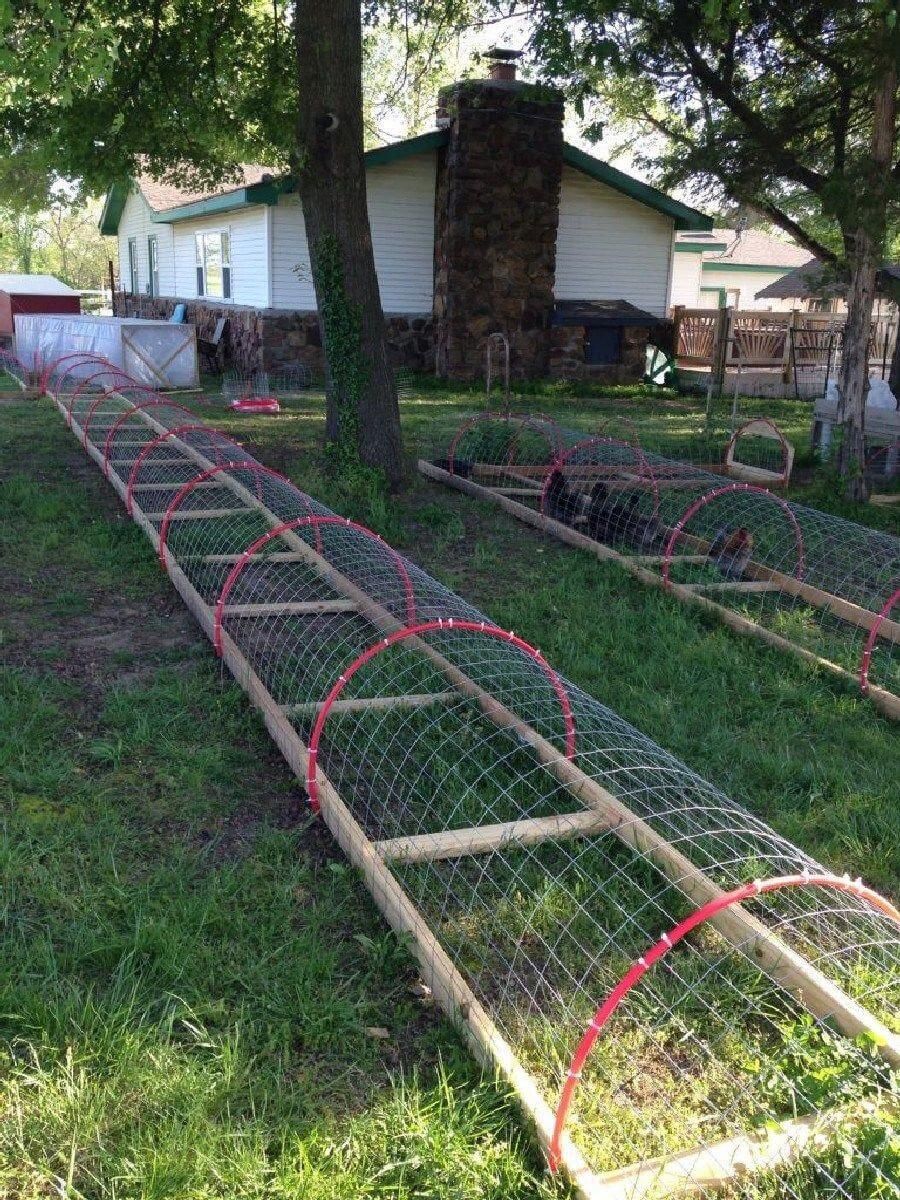 How To Reduce Chicken Feed Waste And Build Coop Tunnel Around The Garden - Engineering Discoveries Backyard Chicken Coops, Chicken Coop Plans, Building A Chicken Coop, Diy Chicken Coop, Backyard Farming, Chicken Farm, Chickens Backyard, Easy Chicken, Coop Building