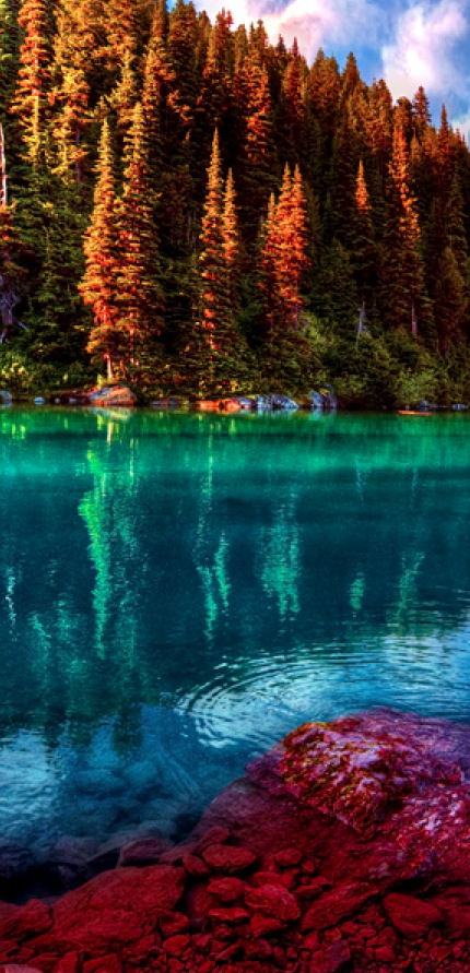 ✯ Garibaldi Lake in Garibaldi Provincial Park - British Columbia, Canada Dream Vacations, Vacation Spots, British Columbia, Pretty Places, Beautiful Places, Places To See, Places To Travel, Places Around The World, Around The Worlds