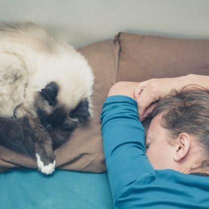 O que você acha? Tire suas dúvidas nesse artigo :) #gatos #dormir #pets #cats #animais Cat Scratch Disease, Animal Articles, Cat Biting, Older Cats, Catfight, Breast Cancer Survivor, Reading Material, Cat Care, Animal Rescue