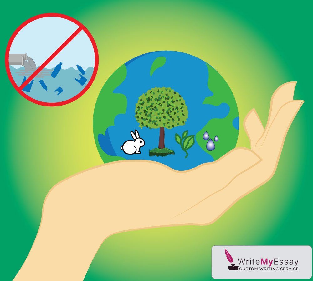 Biodiversity essay writing