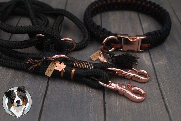 Ideen Sammeln - True Dogz - Paracord & Biothane, #Biothane #cutePetSupplies #Dogz #Ideen #Paracord #Sammeln #True Check more at http://petsupplies5.tvizlet.me/ideen-sammeln-true-dogz-paracord-biothane-2/ Black And White Dog, White Dogs, Dog Sketch, Dog Care Tips, Cat Supplies, Service Dogs, Dog Photos, Dog Accessories, Dog Leash