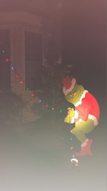 The Grinch Stole My Christmas Lights