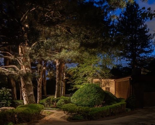Pin By Dan Smith On Landscape Lighting Outdoor Tree Pin By Dan Smith On Landscape Lighting Outdoor Tree
