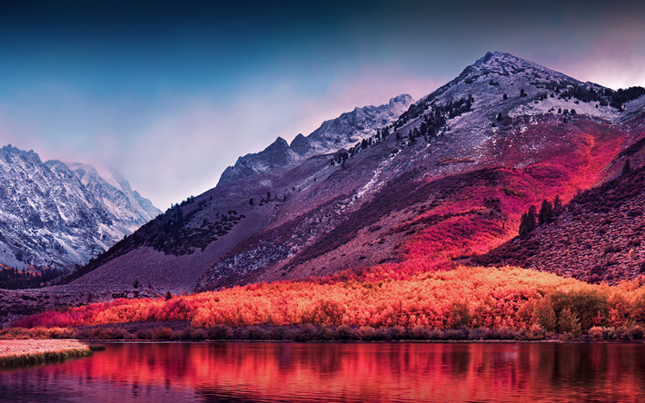 Macos Macos