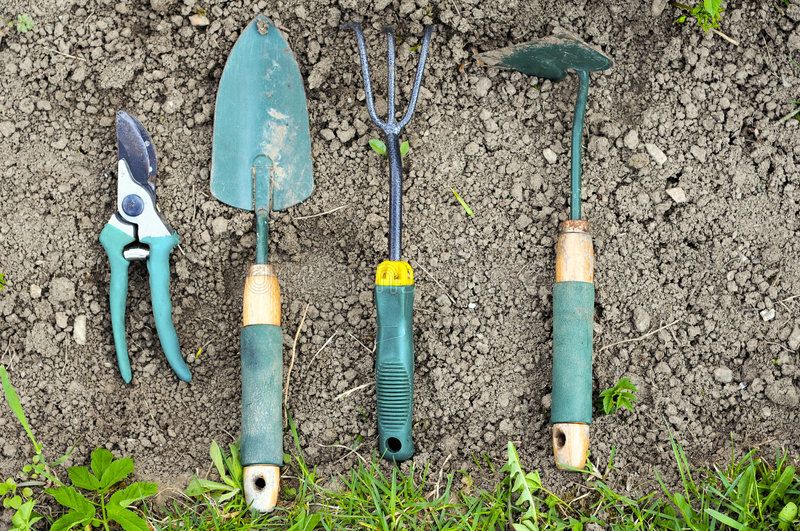 Gardening Tools Laying On Soil Ad Tools Gardening Soil