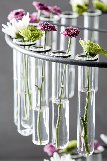 Laboratory Vase Provette Idee Piante