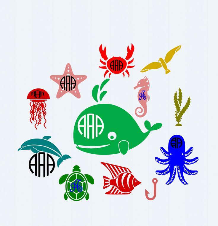 Download Sea Life Monogram Frames SVG Ocean Sea Life Seashell ...