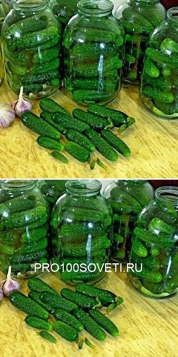 Огурцы «Злодейские» — и хрустящие, и ароматные и очень вкусные! Зимой будет так приятно похрустеть! Tasty, Delicious, Healthyrecipes, Home Cooking, Foodstagram, Food Lover, Pickles, Cucumber, Food Photography