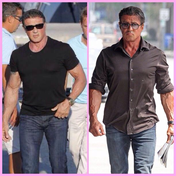 sylvester stallone instagram sylvester stallone instagram