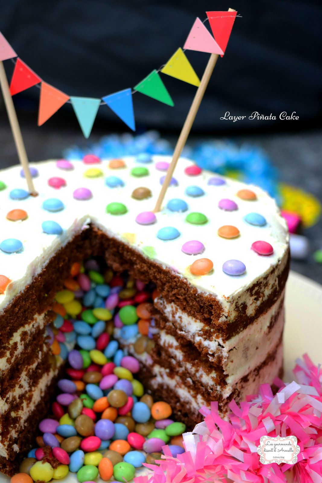 Layer Pinata Cake Chocolat Et Noix De Coco Les Gourmands Disent D Armelle Cake Chocolat Gateau Pinata Chocolat Layer Pinata Cake Chocolat Et Noix De Coco Les Gourmands Disent D Armelle Cake Chocolat Gateau Pinata Chocolat