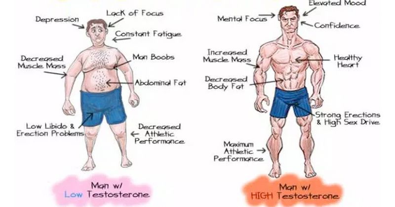 Best workout plan for fast weight loss photo 4