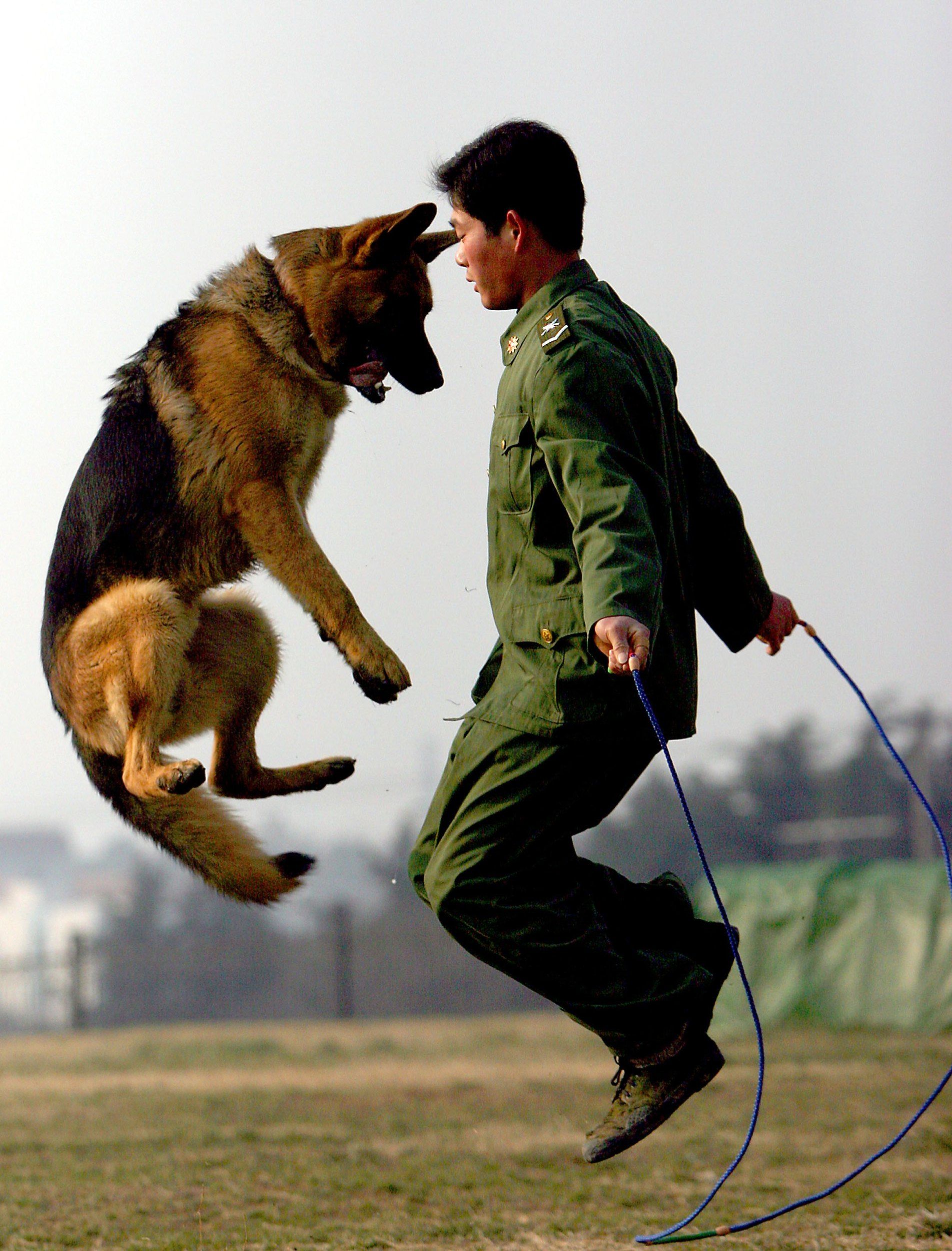 Pin On Animals You Me