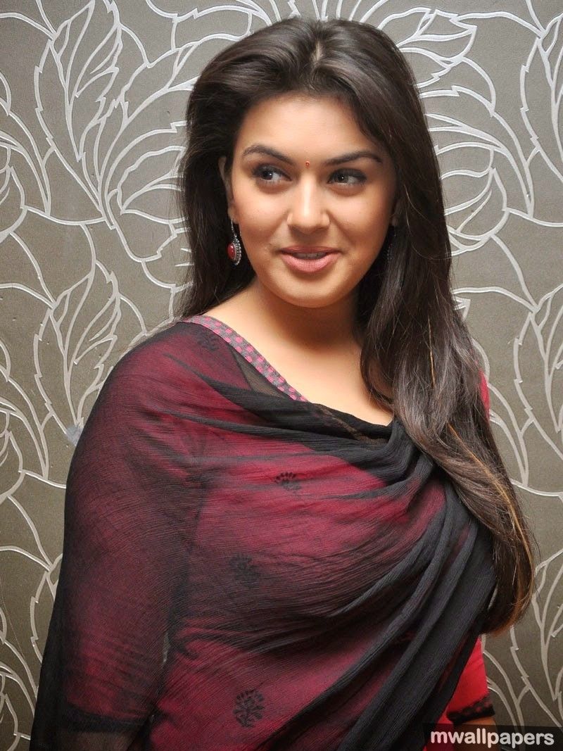 Motwani Tea Pin on Hansika Motwani Wallpapers