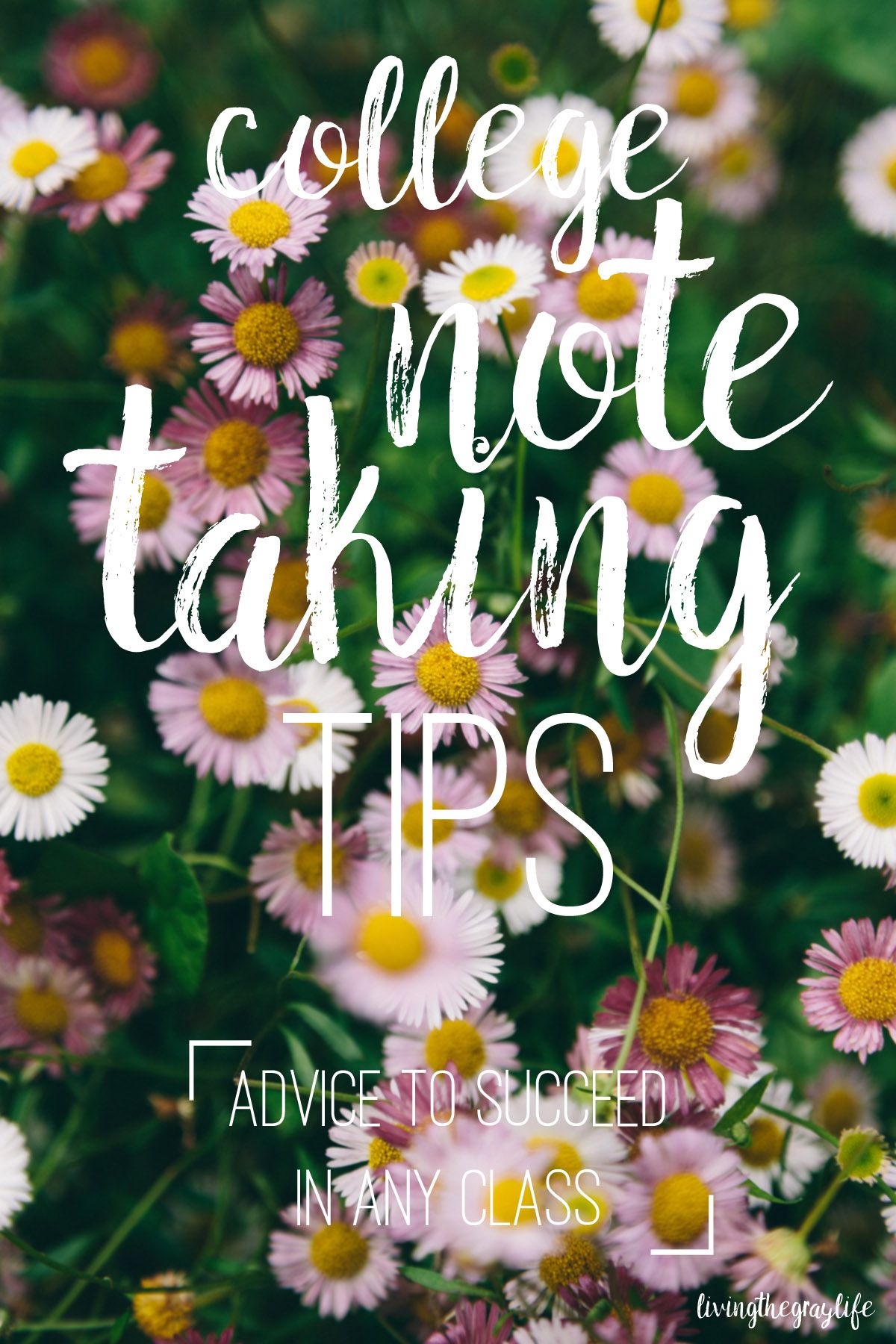 Struggling in a college class or just looking to improve your note taking? Check out this post for tips & tricks to keep those notes organized and… College Note Taking, Note Taking Tips, College Notes, College Advice, College Classes, College Study, College Prep, College Hacks, Education College