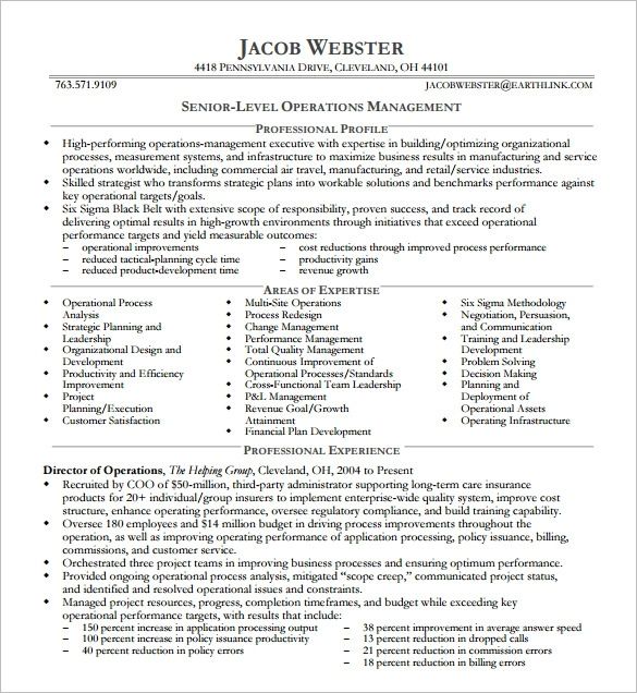 sample executive resume best summary templates excel pdf formats