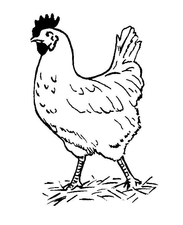 scientific method coloring pages
