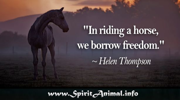 Horse Quotes Horse Spirit Animal, Your Spirit Animal, Rider Quotes, Horse Quotes, Horse Rider, Horse Tack, Helen Thompson, Wings Quotes