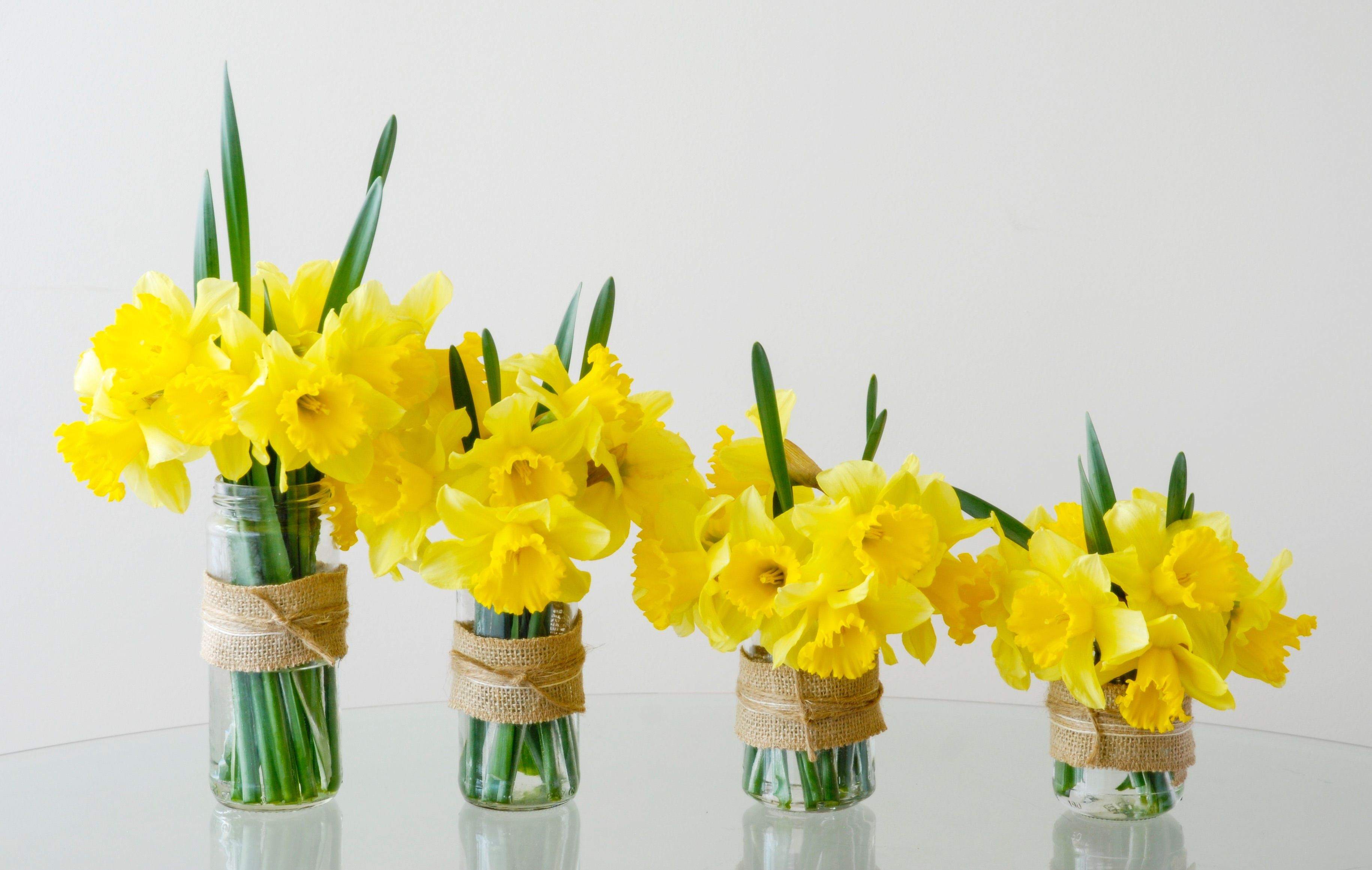 Daffodils In Flower Arrangements Spring Daffodil Bulb Garden Spring Flower Arrangements Daffodils Daffodil Bulbs