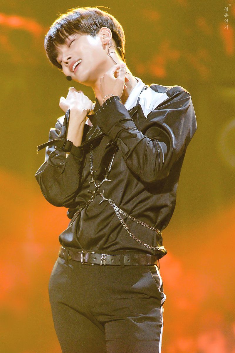 n cha hakyeon vixx 1990 180cm vocal lead dancer n cha hakyeon vixx 1990 180cm vocal lead dancer