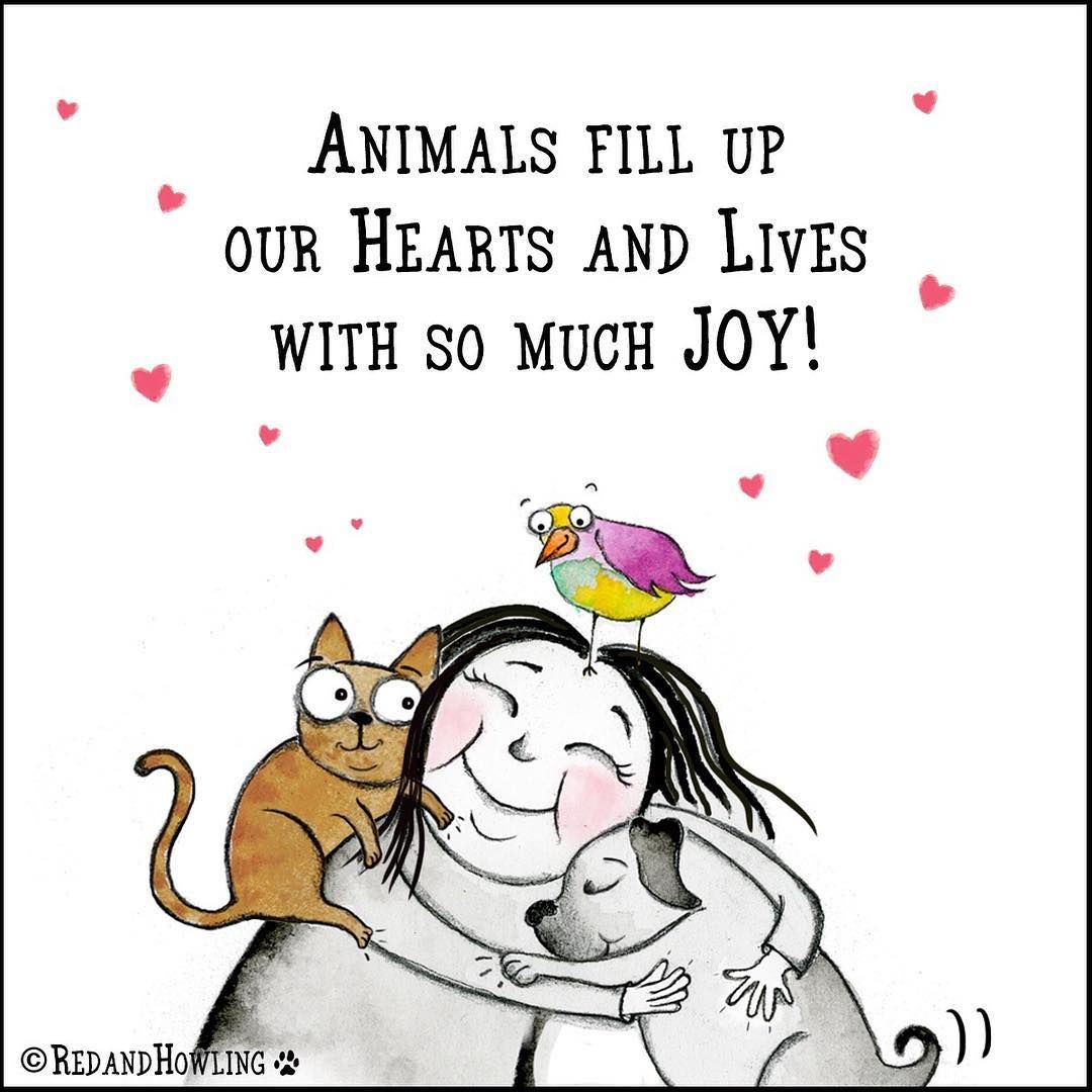 So Much J Y Horses And Dogs Animals And Pets Dogs And Puppies Cute so-much-j-y-horses-and-dogs-animals-and-pets-dogs-and-puppies-cute