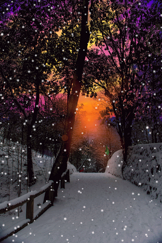 140 Winter GIF. ideas | christmas scenes, winter christmas, animated christmas