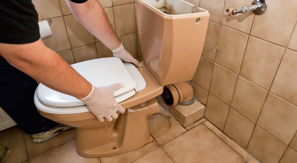 Badezimmer Fugen Neu Machen Badezimmer renovieren: So werden Fliesen, Fugen und Co. wie neu in 2020