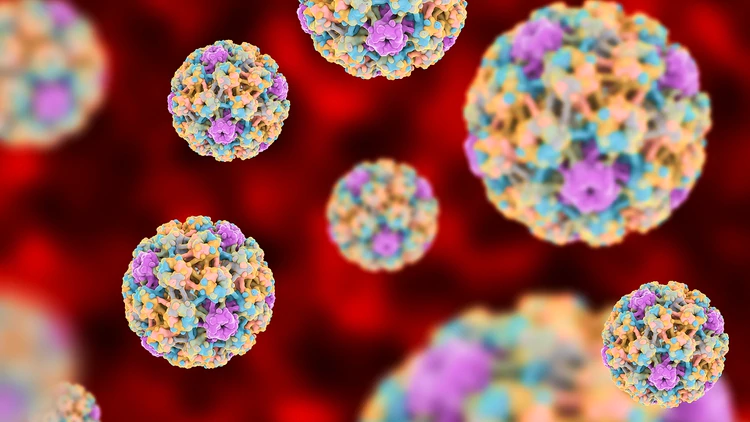 Virusul HPV - Definitii, Preventie, Diagnostic si Tratament