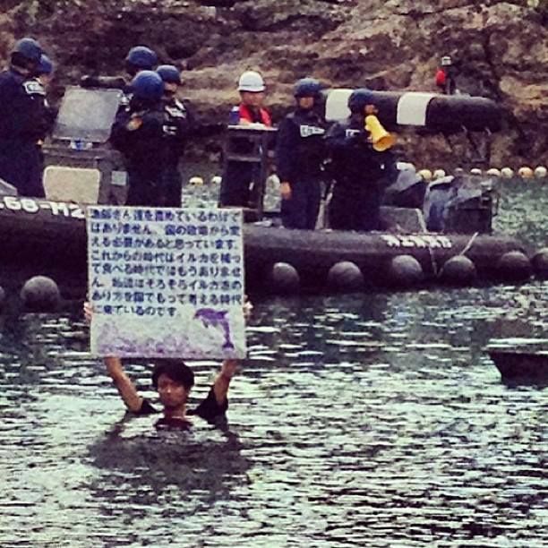 Activista japonés se metió a pocos metros donde se encuentran los delfines atrapados para luego ser seleccionados cautiverio-muerte, su mensaje esta más que claro el pueblo japonés esta despertando!!! DIFUNDE AÚN HAY ESPERANZA! Stand Strong, Violent Crime, Create Awareness, Hunting Season, Conviction, Heartbreak, Dolphins, Tough, Death