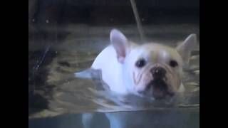 Barbie Of The Moon Pieds Doing Her Underwater Treadmill Workout