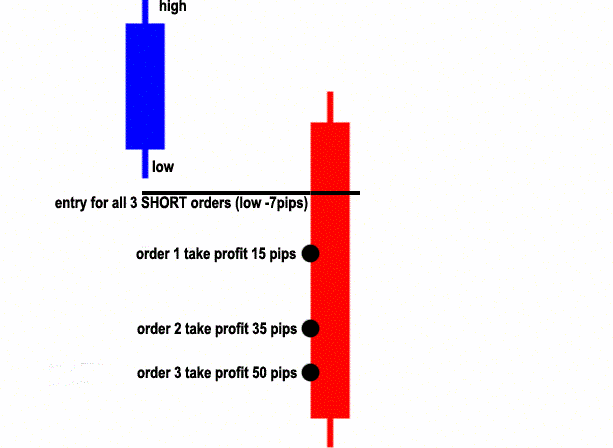 50 Pips daily set and forget - Learn Forex Trading