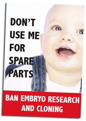 003 Pope reaffirms opposition to embryonic stem cell research 003 Pope reaffirms opposition to embryonic stem cell research
