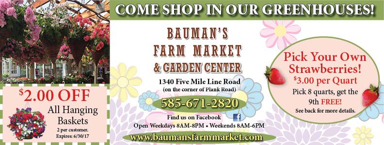 Bauman's Farm Market is one the best places to pick strawberries! Only Bauman's Farm Market is one the best places to pick strawberries! Only